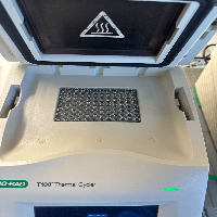 Bio-Rad T100 Thermal Cycler image 1